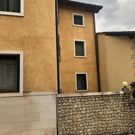 Cedrus * Polcenigo